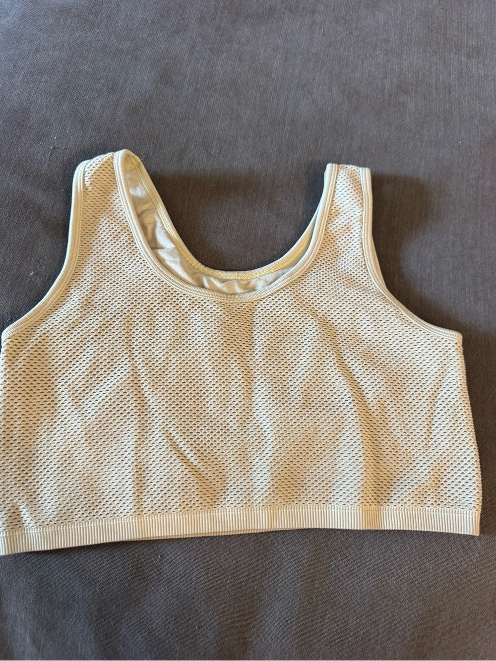 aerie Seamless Ribbed Crop Tank